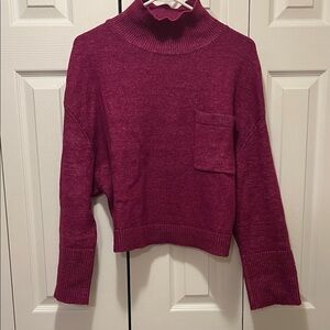 Express Women's Plum Turtleneck Sweater